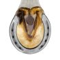 Herradura Lucky Seven #00 Mustad
