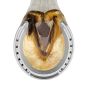 Herradura de aluminio Plana sin tacón #5 St. Croix Forge Mustad