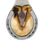 Herradura sin tacón #25 Corona Mustad