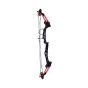 Arco profesional compuesto con 2 flechas MAR-016 Mendoza