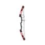 Arco profesional compuesto con 2 flechas MAR-016 Mendoza