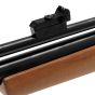 Rifle de aire PCP Beeman Chief II Plus modelo 1338 calibre 5.5
