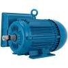 Motor NEMA bifásico 220 V 3 HP WEG
