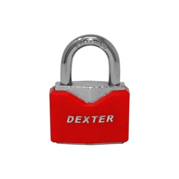 DX493